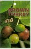 FIG Brown Turkey