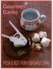 Garlic - Allium Sativum