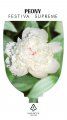 Peony Festiva Supreme