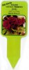 PRIMROSE Olive Watt